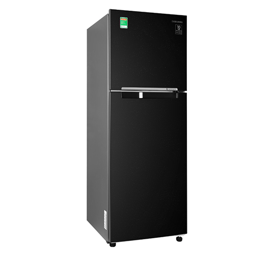 Tủ lạnh Samsung Inverter 236L RT22M4032BU/SV